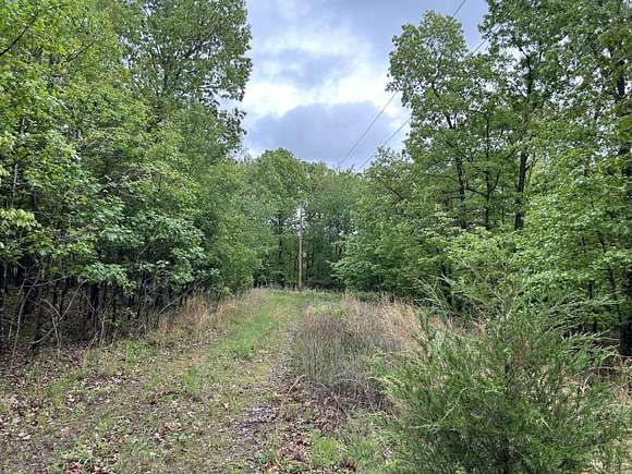 17 Acres of Recreational Land with Home for Sale in Alton, Missouri