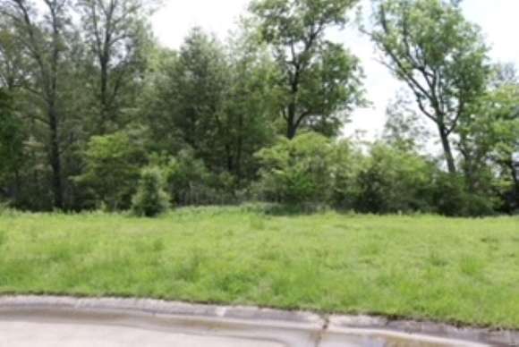 0.37 Acres of Residential Land for Sale in Smithton, Illinois
