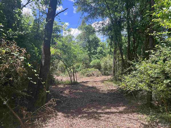 3.65 Acres of Residential Land for Sale in McDavid, Florida