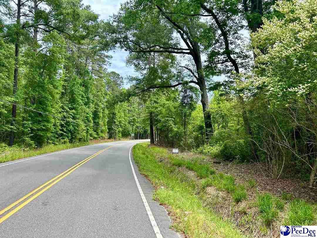 30 Acres of Land for Sale in Marion, South Carolina