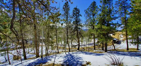 0.5 Acres of Residential Land for Sale in Divide, Colorado