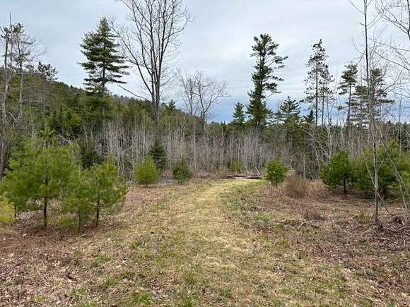 Land for Auction in Edgecomb, Maine