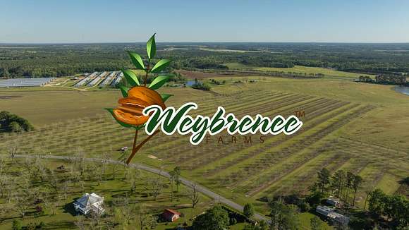 58 Acres of Agricultural Land for Auction in Meigs, Georgia