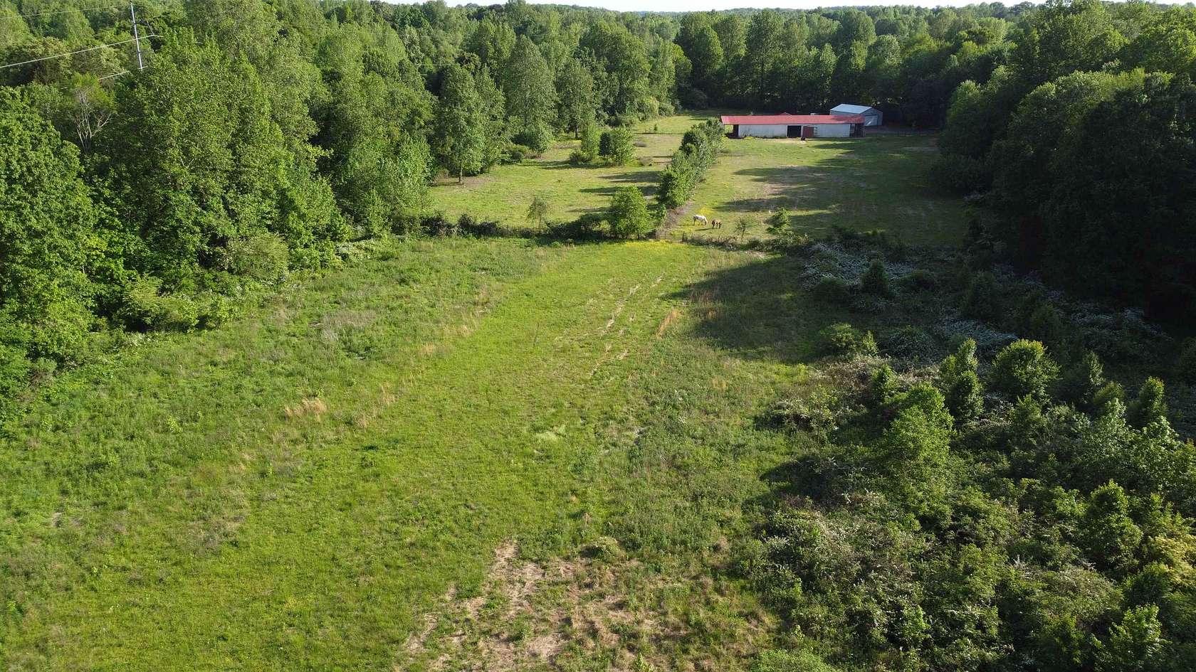 16.7 Acres of Agricultural Land for Sale in Lexington, Tennessee