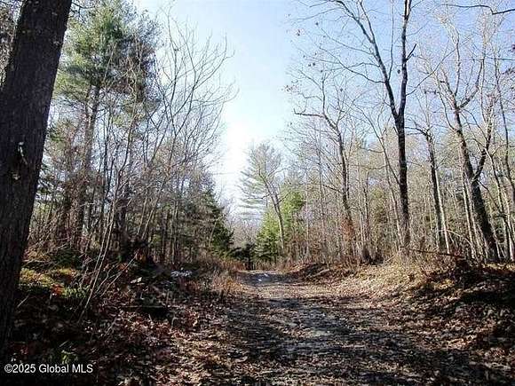 39.01 Acres of Recreational Land for Sale in Fulton Town, New York