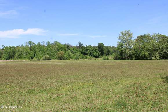 3 Acres of Residential Land for Sale in Byhalia, Mississippi