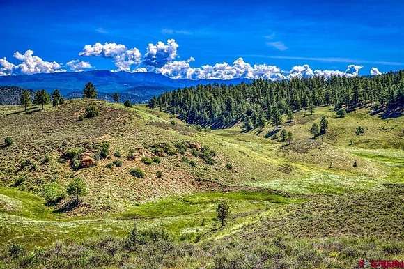 35.43 Acres of Agricultural Land for Sale in Pagosa Springs, Colorado