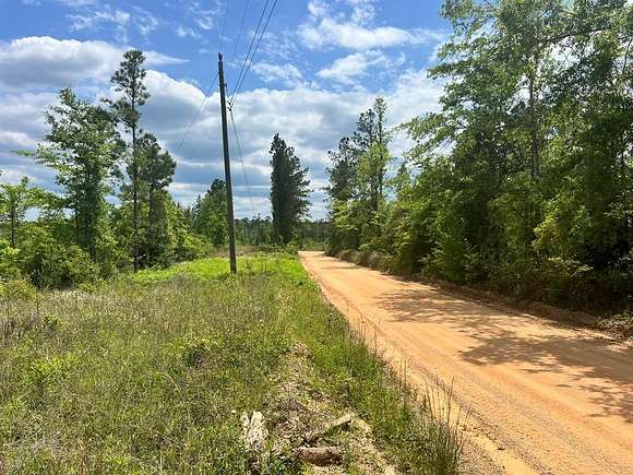 35 Acres of Land for Sale in Waynesboro, Mississippi