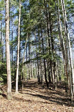 75 Acres of Recreational Land for Sale in Mount Vernon, Maine