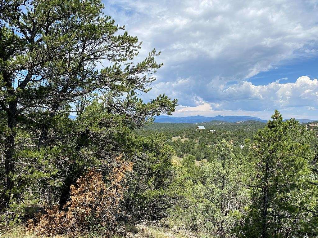 5.5 Acres of Land for Sale in Cotopaxi, Colorado