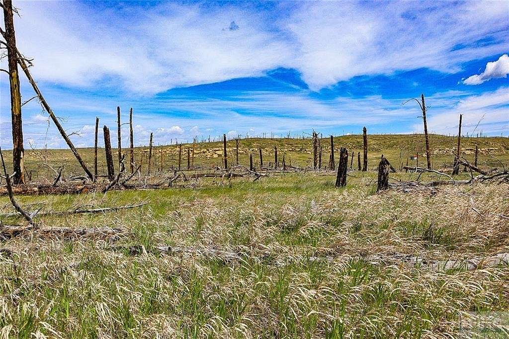20 Acres of Land for Sale in Roundup, Montana