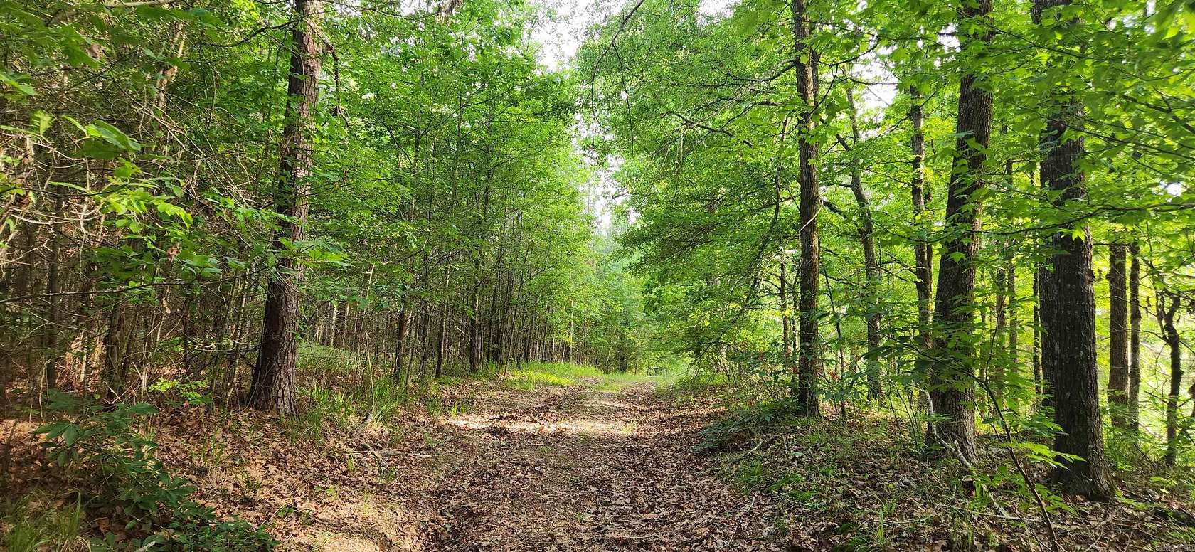 97 Acres of Recreational Land for Sale in Star City, Arkansas
