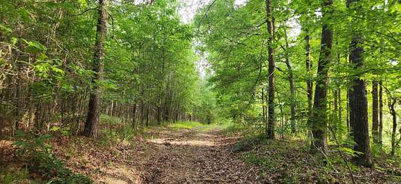 97 Acres of Recreational Land for Sale in Star City, Arkansas