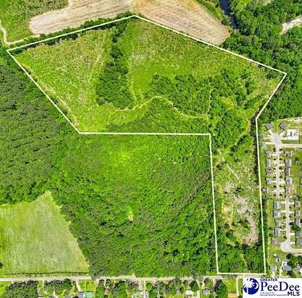 33.7 Acres of Land for Sale in Florence, South Carolina