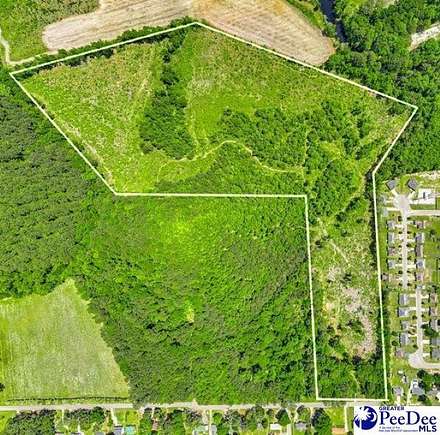 33.72 Acres of Land for Sale in Florence, South Carolina