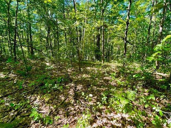 0.65 Acres of Residential Land for Sale in Roosevelt Township, Minnesota