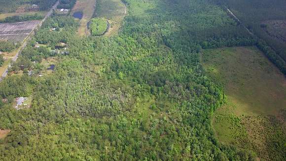 130 Acres of Land for Sale in Naylor, Georgia