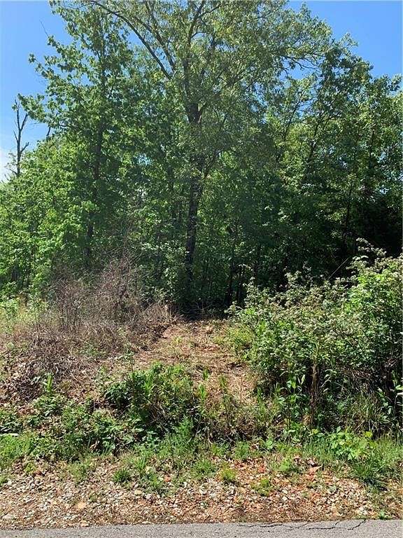 0.26 Acres of Residential Land for Sale in Bella Vista, Arkansas