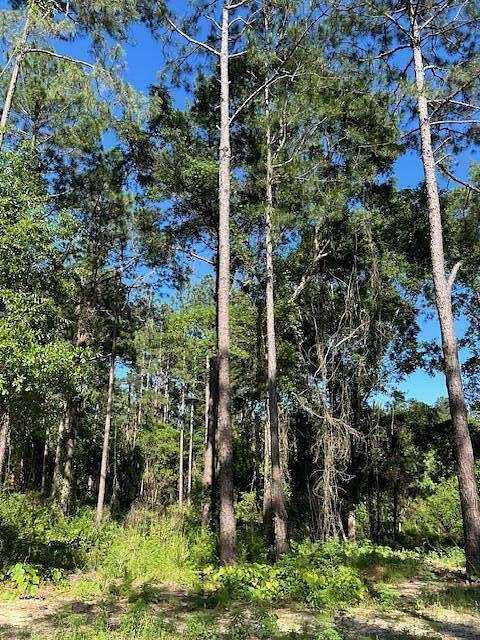 3.62 Acres of Residential Land for Sale in Poplarville, Mississippi