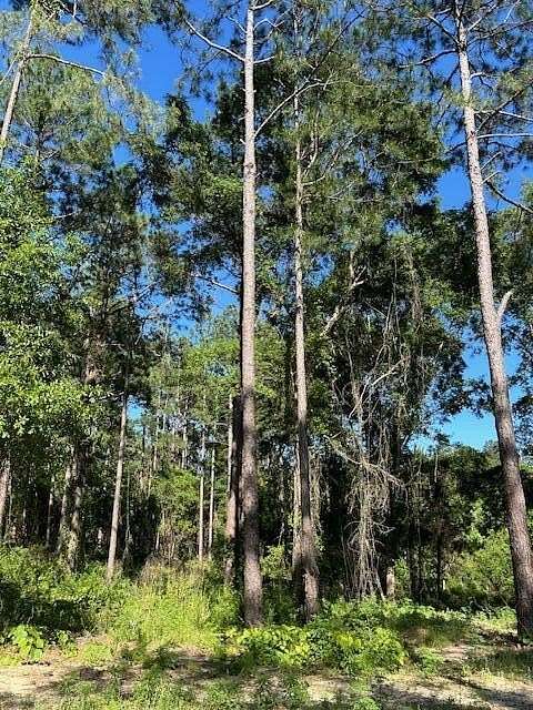 3.62 Acres of Land for Sale in Poplarville, Mississippi