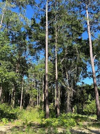 3.6 Acres of Residential Land for Sale in Poplarville, Mississippi