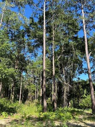 3.62 Acres of Residential Land for Sale in Poplarville, Mississippi