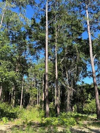 3.62 Acres of Land for Sale in Poplarville, Mississippi