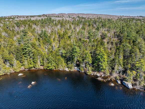 43 Acres of Land for Sale in Northfield, Maine