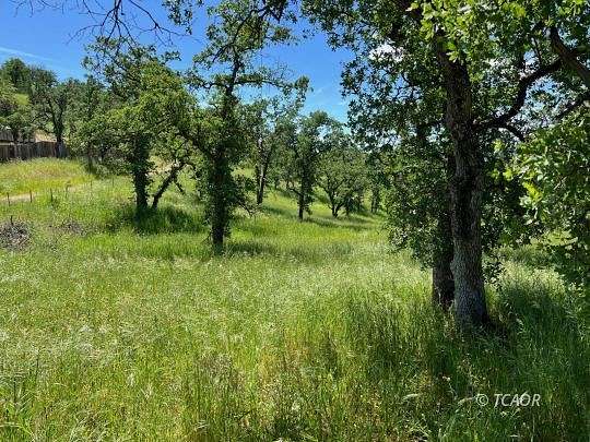 40 Acres of Land for Sale in Ono, California