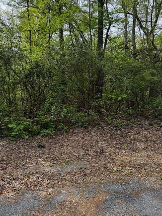 10 Acres of Residential Land for Sale in Heathsville, Virginia