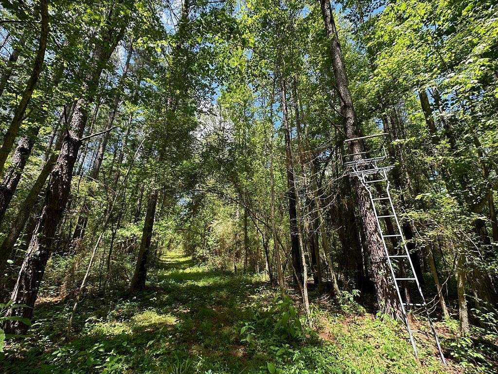 80 Acres of Recreational Land for Sale in Magee, Mississippi