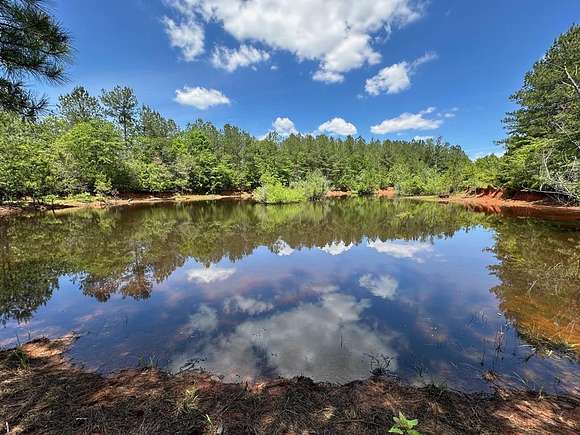 145 Acres of Recreational Land for Sale in Magee, Mississippi