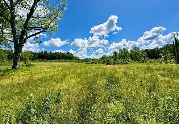 41 Acres of Recreational Land & Farm for Sale in Stonewall, Mississippi
