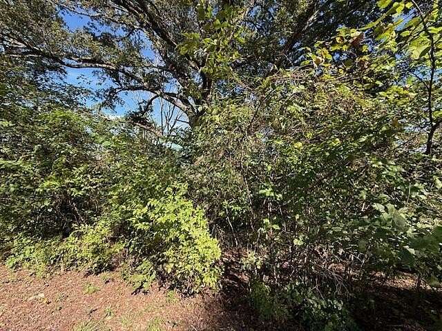 0.46 Acres of Land for Sale in Blue Eye, Missouri