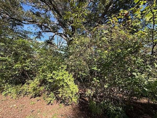 0.46 Acres of Residential Land for Sale in Blue Eye, Missouri