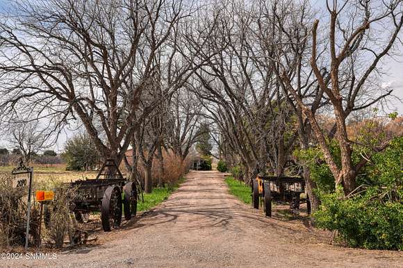 10.9 Acres of Land with Home for Sale in Mesilla, New Mexico