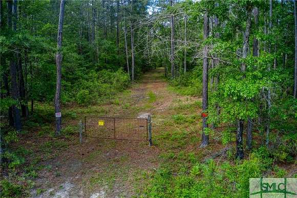 44.7 Acres of Recreational Land for Sale in Brooklet, Georgia