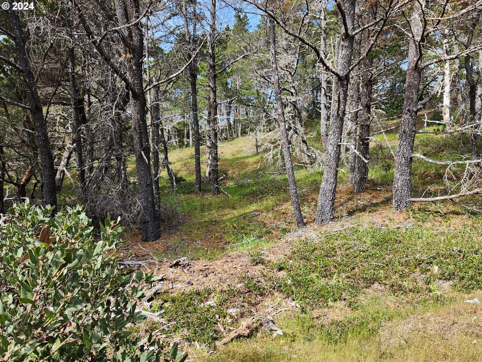 7.7 Acres of Residential Land for Sale in Gold Beach, Oregon