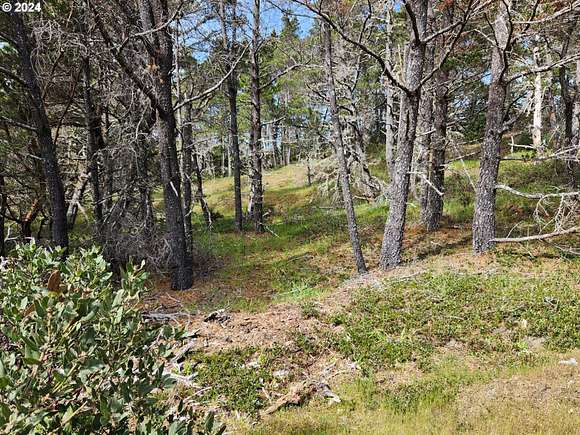 7.74 Acres of Residential Land for Sale in Gold Beach, Oregon