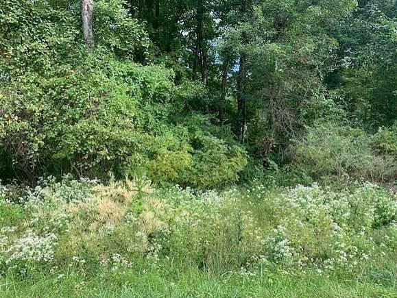 0.46 Acres of Residential Land for Sale in Newark, Ohio