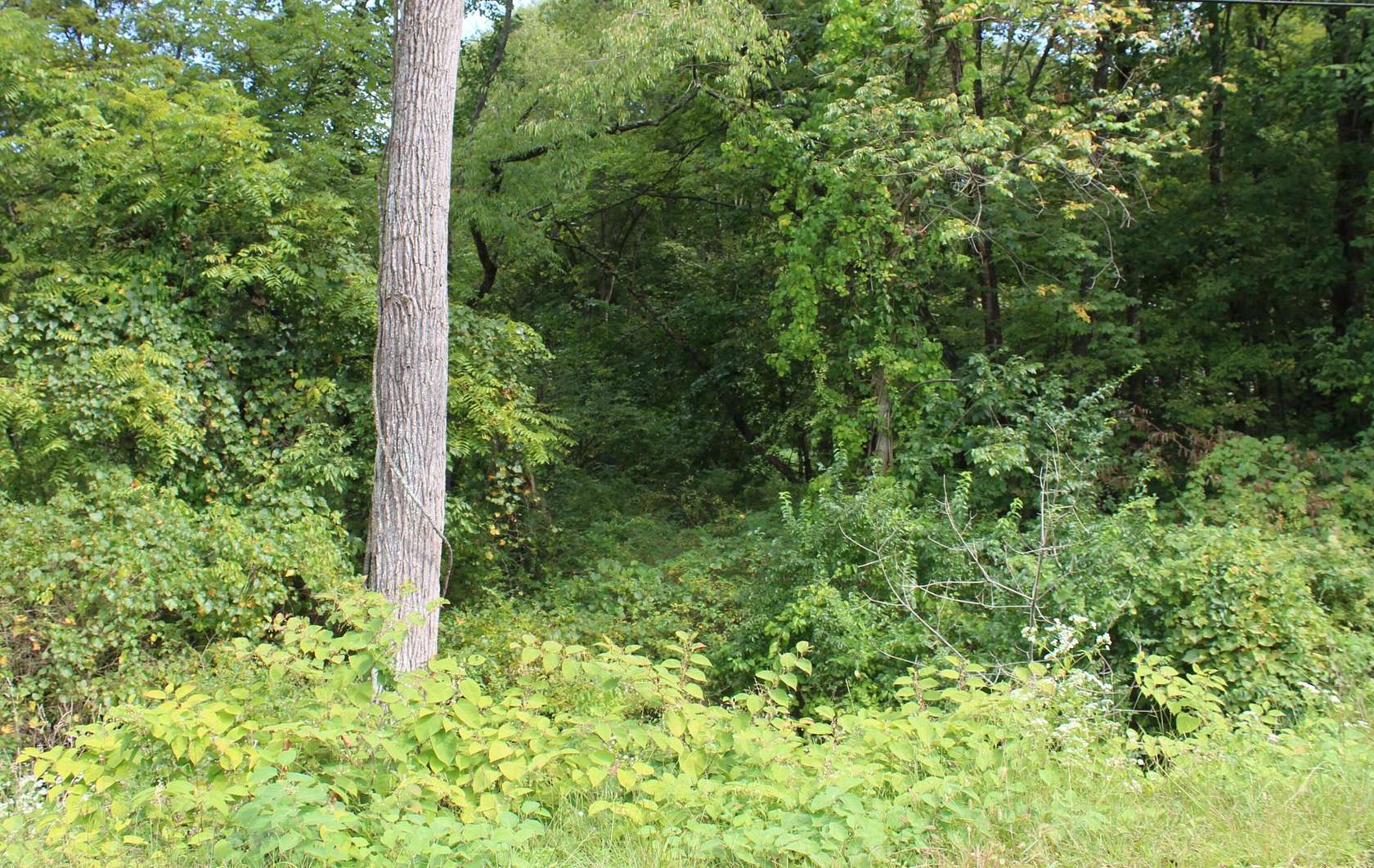 0.48 Acres of Residential Land for Sale in Newark, Ohio