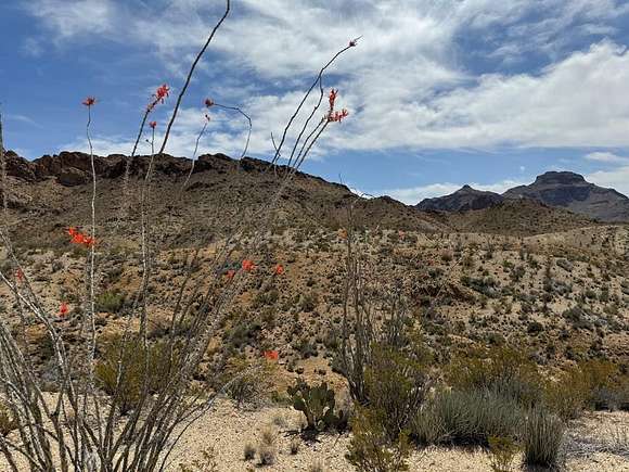 80 Acres of Recreational Land for Sale in Terlingua, Texas