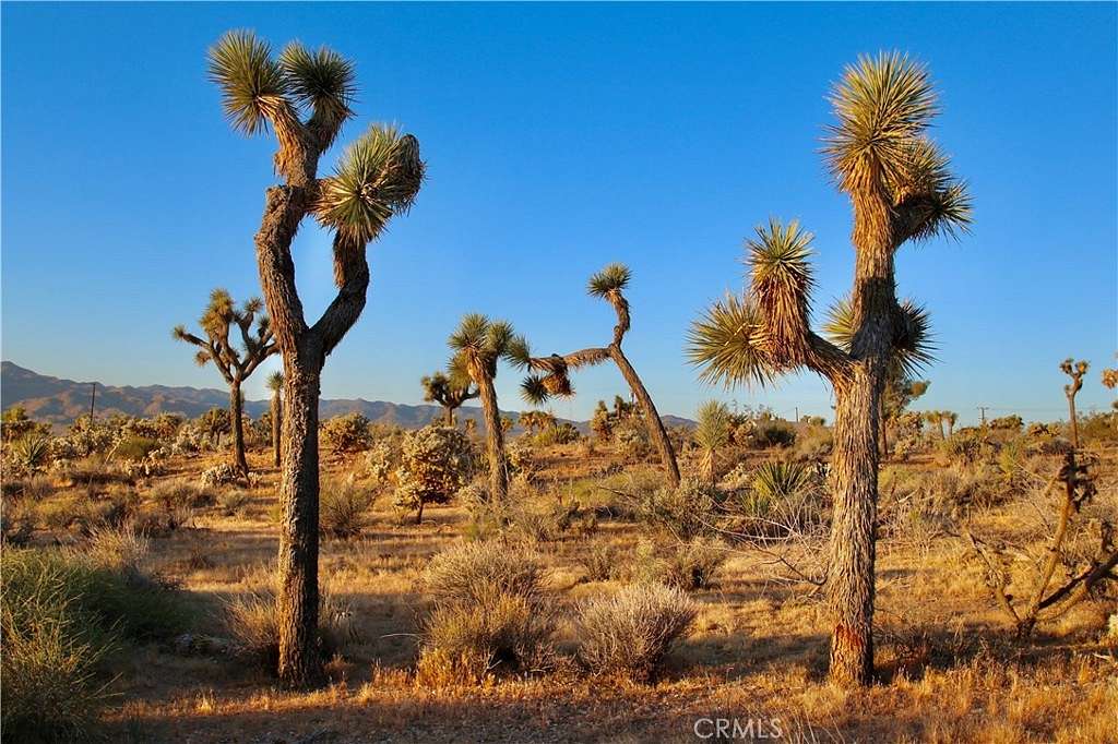 9.5 Acres of Residential Land for Sale in Yucca Valley, California