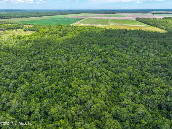 29.7 Acres of Agricultural Land for Sale in St. Augustine, Florida