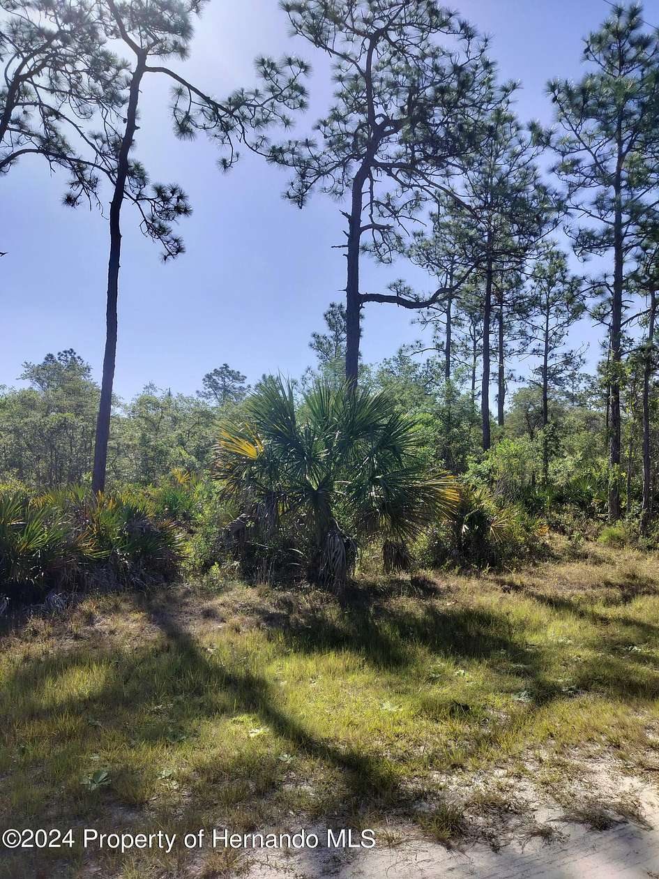1.6 Acres of Residential Land for Sale in Weeki Wachee, Florida