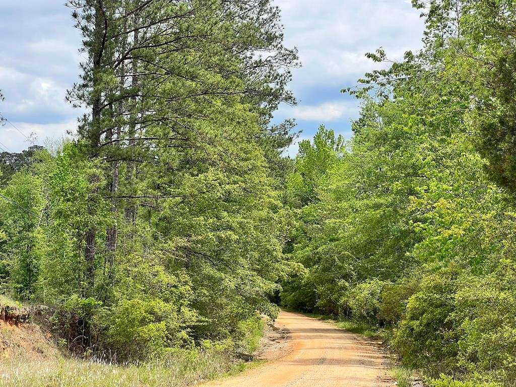 16 Acres of Land for Sale in Waynesboro, Mississippi