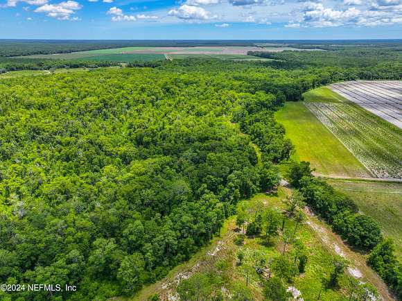 31.7 Acres of Agricultural Land for Sale in St. Augustine, Florida