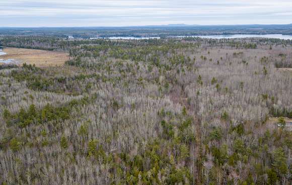 69.8 Acres of Land for Sale in Eddington, Maine