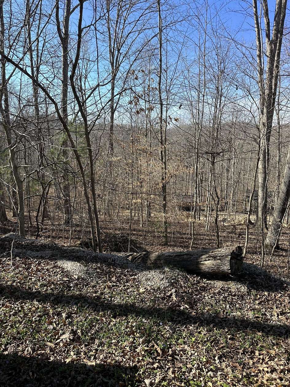 0.28 Acres of Residential Land for Auction in Salt Lick, Kentucky