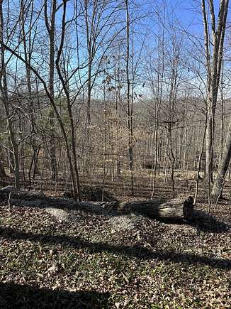 0.28 Acres of Residential Land for Auction in Salt Lick, Kentucky